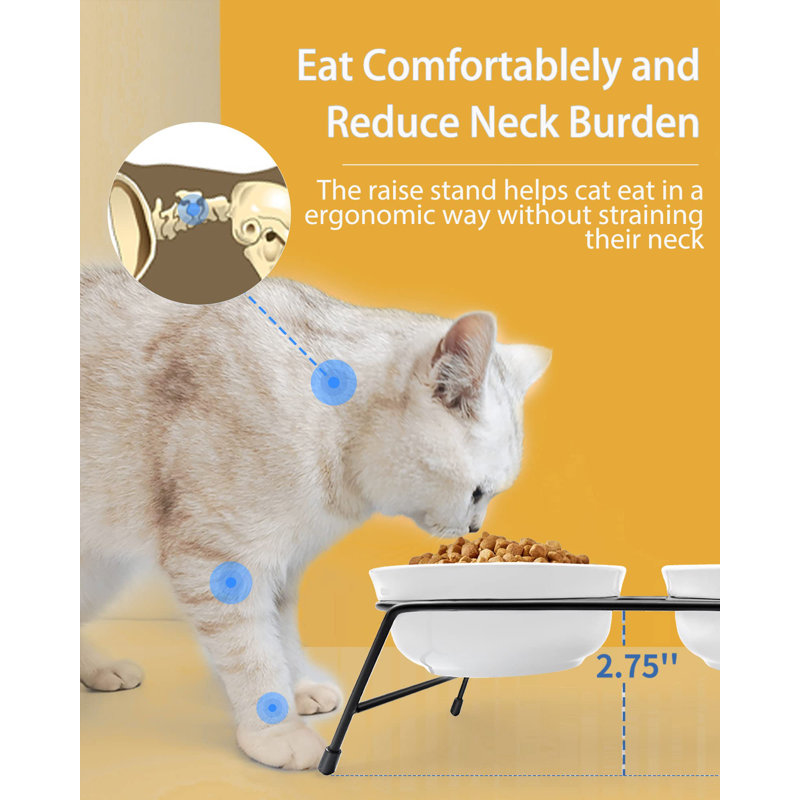 The range cat bowls hot sale